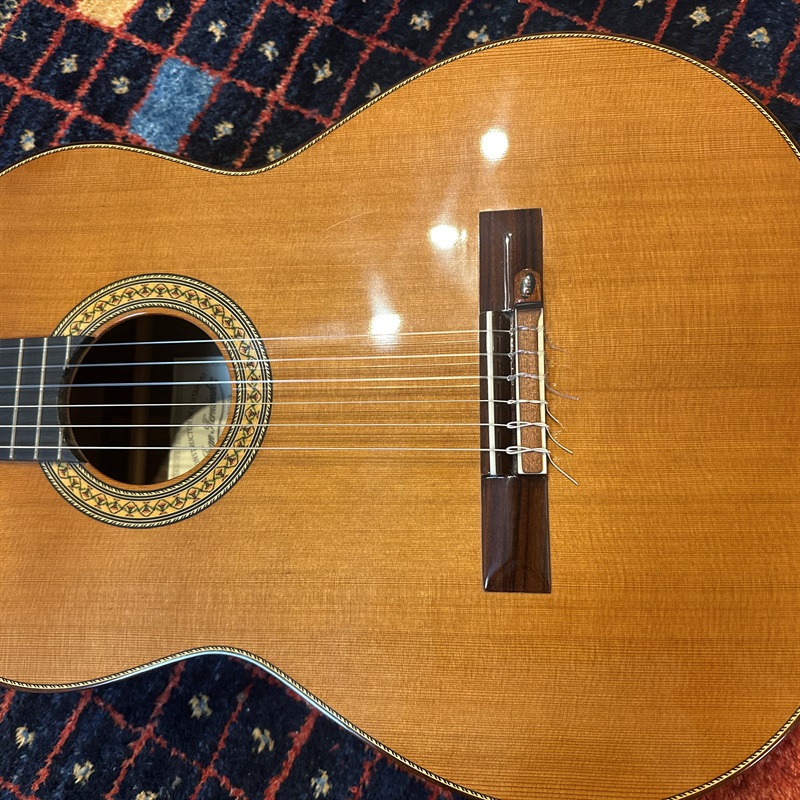 Juan Hernandez PROFESOR 杉の画像